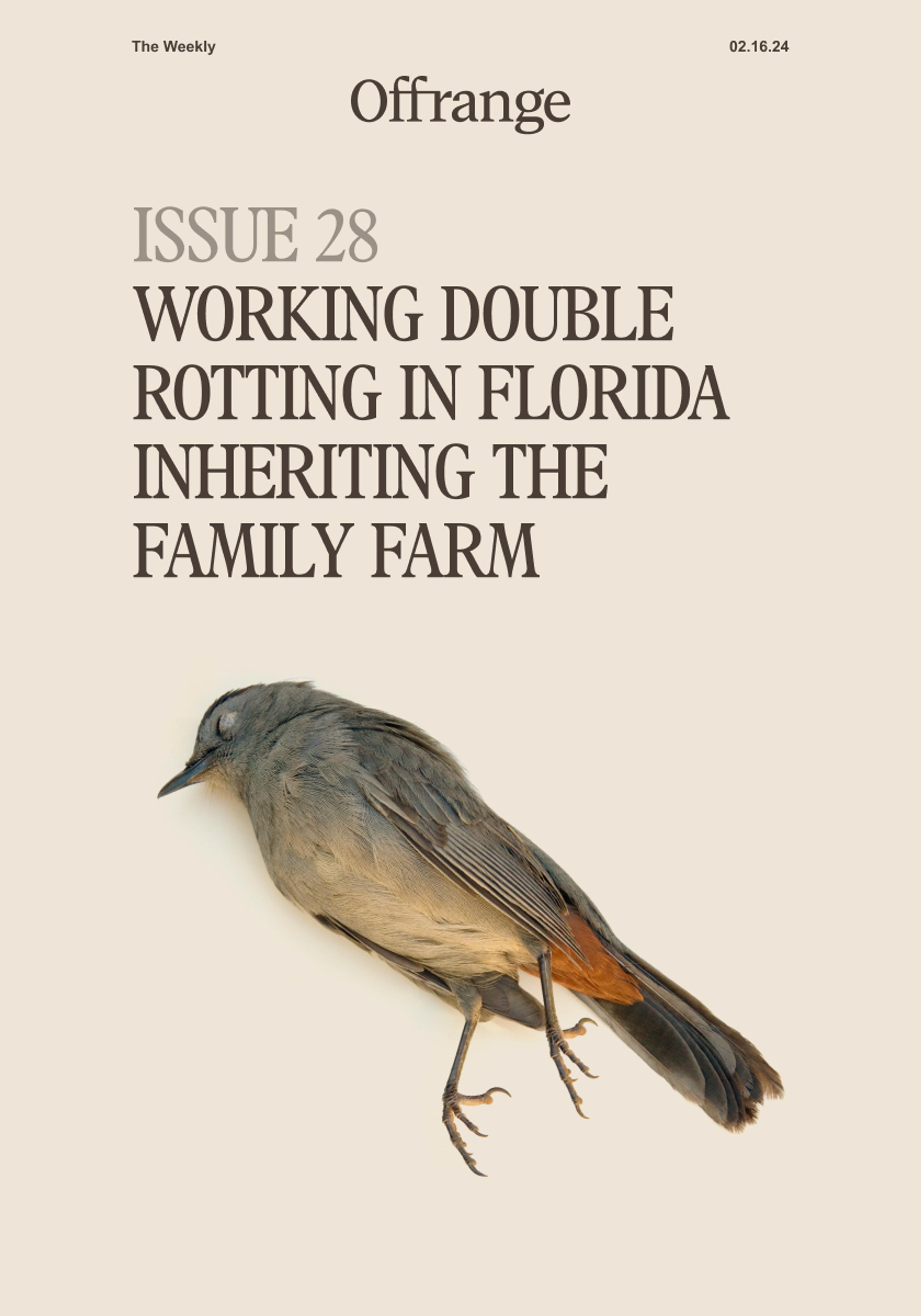 Cover of Issue 28